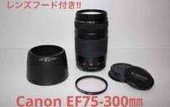 迫力の300㎜/キャノン望遠レンズ/Canon EF75-300㎜　II EF75-300mm F4-5.6 III USM - キヤノンカメラミュージアム