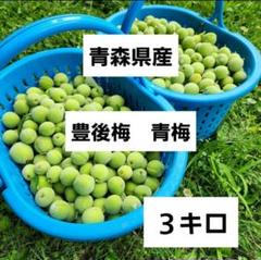 ✴︎農薬不使用✴︎ 青森県産　豊後梅　小さめサイズ　箱込み20キロ 冷蔵）青森の青梅[豊後梅ぶんごうめ]2L〜3Lサイズ混合約3kg 梅
