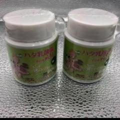 ハタ乳酸菌　FOR PETS 60g ×2個 軽量スプーン付のサムネイル