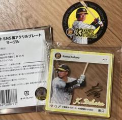BBM 2021 阪神タイガース 直筆サインカード 糸原健斗 2021BBM 阪神タイガース 糸原健斗 直筆サインカード ｜野球