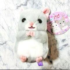 チンチラのララちゃん ころりんギミック 2種セット×7セット チンチラのララちゃん ころりんギミック 2種セット タイトー限定