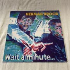 pub rock herman brood Wait A Minute LP