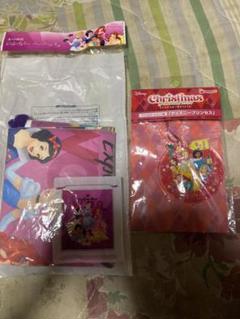 ディズニー プリンセス ポリ巾着&キーホルダー