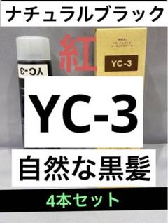 YE4。2本 弱酸性 ベルジュバンス ヘアカラー 白髪染め マニキュア YC1。2本 弱酸性 ベルジュバンス ヘアカラー 白髪染め