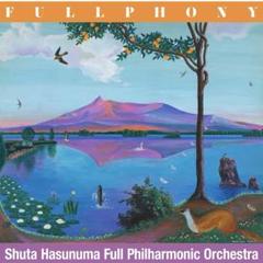 FULLPHONY Shuta Hasunuma 蓮沼執太