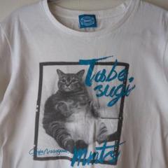 レア　美品　魔太郎がくる‼　Tシャツ 猫　黒　M mmts マミタス製 レア 美品 魔太郎がくる‼ Tシャツ 猫 黒 M mmts マミタス製