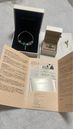 Candy様⭐︎Pandoraダッフィー＆シェリーメイ チャームブレスレット Candy様⭐︎Pandoraダッフィー＆シェリーメイ チャームブレスレット