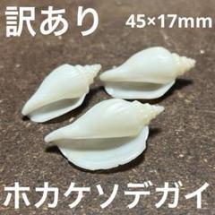 2025年最新】ソデガイの人気アイテム - メルカリ