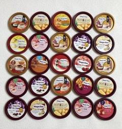 Häagen-Dazs ハーゲンダッツ 蓋 25枚 工作材料 コレクション