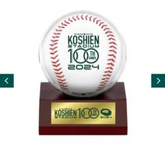 激レア・珍品☆全国高校野球選手権大会100周年試合球！使用品