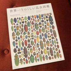 【新品】世界一うつくしい昆虫図鑑 パズル1000ピース クリストファー・マーレー 世界一うつくしい昆虫図鑑」 クリストファー・マーレー著 宝島社