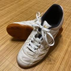 nike フットサルシューズ ベッキ 26㎝