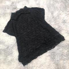 me【イッセイミヤケ】　襟付✨総レース トップス/シースルー ドルマンスリーブ me【イッセイミヤケ】 襟付✨総レース トップス/シースルー