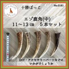 エゾ鹿角（中）5本セット 11.5～13.5cm No.0161 - メルカリ