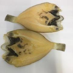 ノドグロの開き二枚 食べれないよ食品サンプル( ͡° ͜ʖ ͡°)