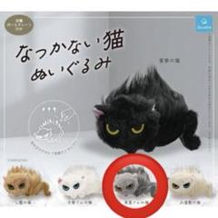 アナザーエデン 猫 ぬいぐるみ 未開封新品 アナザーエデン 猫 ぬいぐるみ 未開封新品 - メルカリ