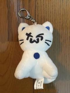 twsねこ ぬいぐるみ