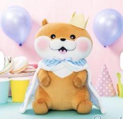 可愛い嘘のカワウソ 誕生日だぬ！BIGぬいぐるみ