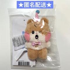 ZB1 ゼベワン ハンビン ビニニ ミニぬいぐるみキーリング - メルカリ