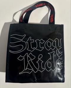 新品　バッグ スキズ アップグレード特典 〈dominATE JAPAN〉 Stray Kids | Info