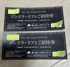 富士見パノラマリゾート　ゴンドラ・リフトご招待券 2枚セット 値下げ！【大人1名1日無料】富士見パノラマリゾートゴンドラ