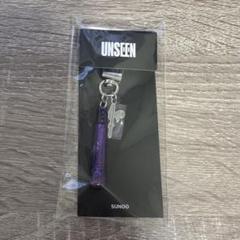 ENHYPEN UNSEEN ソンフン SUNGHOON マイクキーホルダー｜Yahoo