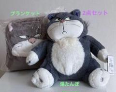 2025年最新】ルシファー ディズニー 湯たんぽの人気アイテム - メルカリ