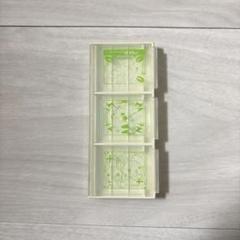 ポケモン　DSカードケース