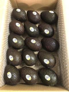 メキシコ産 アボカド15個入り