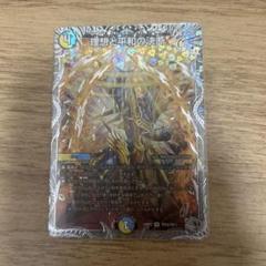 デュエルマスターズ 理想と平和の決断 パーフェクトアルカディア