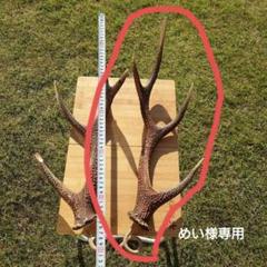 2本セット ビッグサイズ 鹿の角ランタンハンガー （スウェード