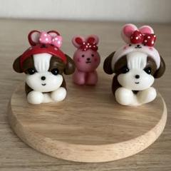 うさぎちゃん♡シーズー(๑˃̵ᴗ˂̵)ハンドメイド粘土