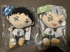 フリューくじ ハイキュー ぬいもっち E賞、F賞