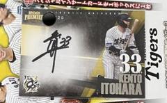 EPOCH 2025 阪神タイガース PREMIER EDITION 糸原健斗