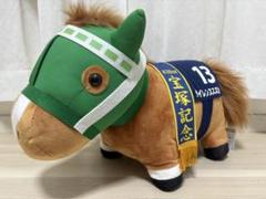 2025年最新】サラブレッドコレクション BIGぬいぐるみ