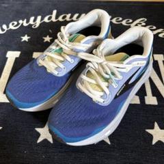 【美品・公式完売】 Brooks Ghost Max 25.0cm ランニング