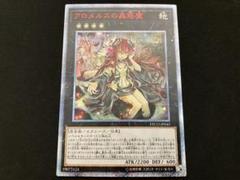 遊戯王 - 【極美品】アロメルスの蟲惑魔 20th シークレット 遊戯王 20thSE アロメルスの蟲惑魔【20thシークレット】{ETCO-JP045}《エクシーズ》