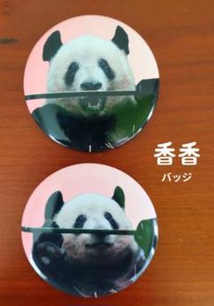 2025年最新】上野動物園 缶バッジの人気アイテム - メルカリ