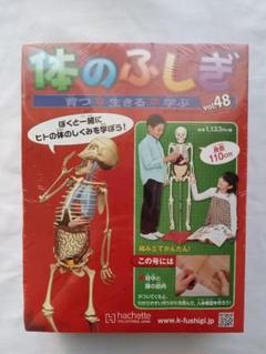 アーサーが教える 体のふしぎ1〜40巻【1/2】　※商品説明を必ずお読み下さい‼︎ 2025年最新】アーサーが教える体のふしぎの人気アイテム - メルカリ