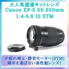 【美品】超望遠♪CANON EF-S 55-250mm IS STM Amazon.com : Canon EF-S 55-250mm F4-5.6 is STM : Digital Slr