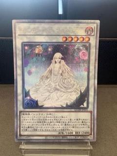 ガーデンローズメイデン 25thシークレット