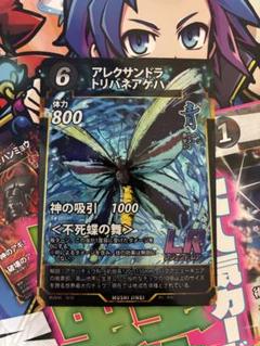 2025年最新】アレクサンドラトリバネアゲハの人気アイテム