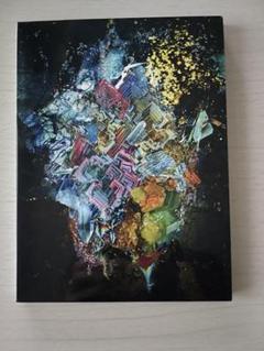 RADWIMPS ‪✕‬と○と罪と LP限定版 レコード RADWIMPS ‪✕‬と○と罪と LP限定版 レコード - メルカリ