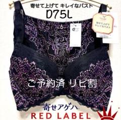 ✴︎D75L レッドレーベル バイ トリンプ 寄せアゲハ ブラ＆ショーツ ✴︎D75L レッドレーベル バイ トリンプ 寄せアゲハ ブラ