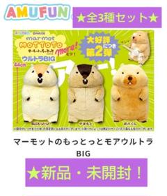 専用 マーモットのもっとっと 特大ぬいぐるみ3個セット 新品 送料込み 限定！新品☆【マーモットのもっとっとモア】ウルトラBIG
