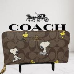 COACH - 【必見】COACH スヌーピーコラボ長財布CE705の通販 by