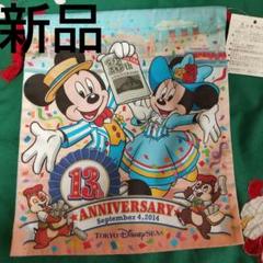 ディズニー巾着 チップ デール 巾着 ディズニービアンカ ディズニーシー13周年