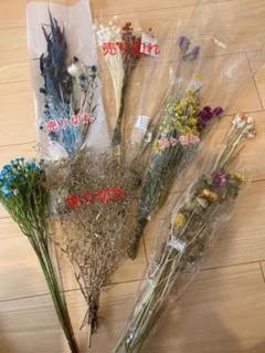 【即発送】ドライフラワー まとめ売り 詰め合わせ ハーバリウム
