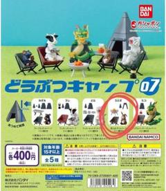 どうぶつキャンプ07全5種 どうぶつキャンプ07｜ガシャポンオフィシャルサイト