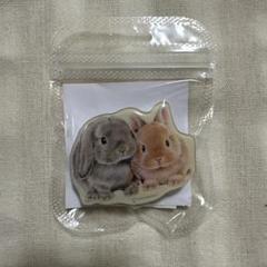 【新品未開封】しらとあきこさんイラスト　うさぎ　スマホグリップ　フェリシモ